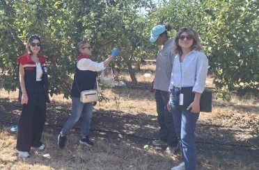 Tekirdağ’da hasat öncesi pestisit denetimleri yapılıyor 