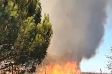 Tekirdağ’da korkutan yangın 