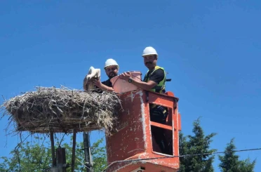 Tekirdağ’da Leylek Festivali 
