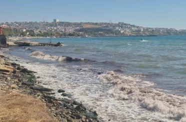 Tekirdağ’da poyraz fırtınası kıyılarda kızıl yosunlara neden oldu 