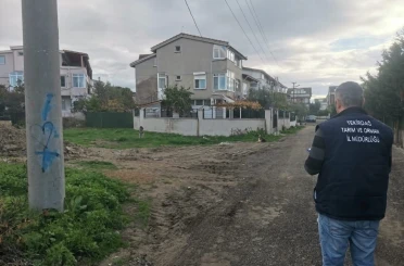 Tekirdağ’da sahipsiz sokak hayvanları için sayım çalışması yapılıyor 