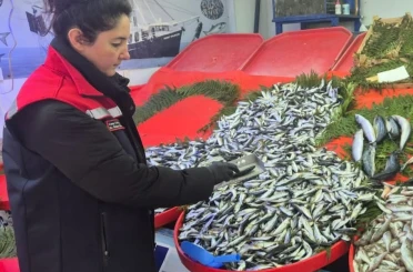 Tekirdağ’da su ürünlerine sıkı denetim 