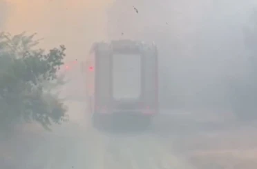 Tepebaşı’ndaki orman yangınında yanmak üzere olan kaplumbağa kurtarıldı 