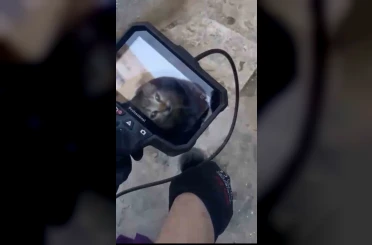 Teras gider borusunda 5 metre derine düşen kediyi itfaiye kurtardı 