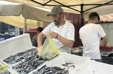 Tezgahlarda hamsi bolluğu 