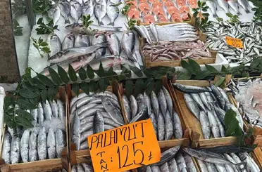 Tezgahta Palamut bolluğu