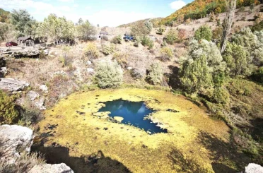 Timsah gözü hazan güzelliğiyle büyülüyor 