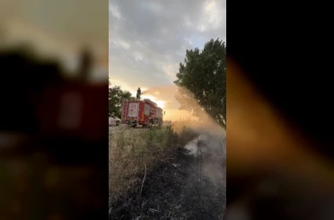 Tır lastiğinde çıkan yangın tarlaya sıçramadan söndürüldü 