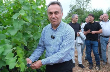 TOGÜ bağlarında sezonun ilk üzüm hasadı yapıldı 