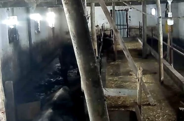 Tokat’ta ahırın çatısı çöktü 