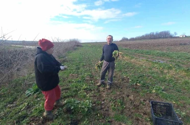 Toprağa emek, çocuklara gelecek: Karı-koca dört mevsim tarlada çalışıyor 