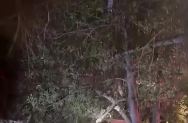 Topunu almak için çıktığı ağaçtan inemeyen çocuğun yardımına itfaiye yetişti 