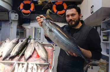 Torik tezgahlara geç geldi ama yüzleri güldürüdü 