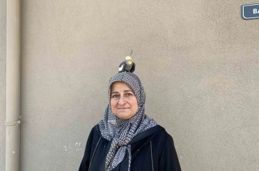 Torunu için sahiplendi, papağan çocuğu gibi oldu 