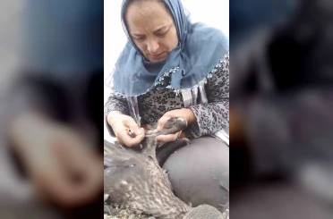 Trabzon’da karabatak kurtarma operasyonu gülümsetti 