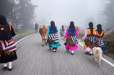 Trabzon’da yaylacılar köylerine dönmeye başladı
