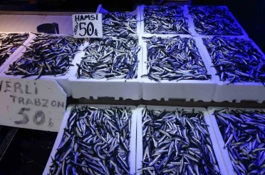 Trabzonlular hamsiye doydu 