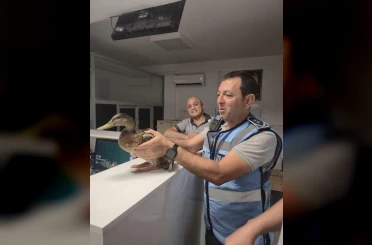 Trafiği durdurup ördeği kurtardılar 