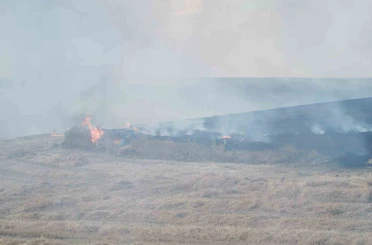 Traktörden sıçrayan kıvılcım tarlayı yaktı 