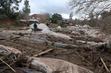 Tüm birikimlerini 1 saatte kaybettiler 
