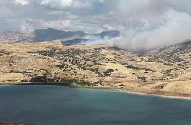 Tunceli’de kırsal alan yangını: Müdahale sürüyor
