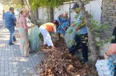 Turistler yangın sonrası otel çevresindeki kurumuş ot ve yaprakları temizledi 