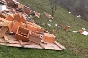 Türkeli’de fırtına arıcılığı vurdu: Onlarca kovan zarar gördü 