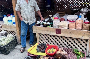 Türkeli’de kestane ve fesleğen mantarı tezgahlarda 