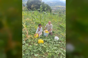 Türkeli’de küçük üretim, büyük ürün verdi 
