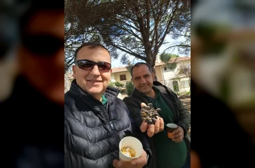 Türkiye çam balı üretiminde dünya birincisi 