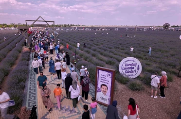 Türkiye'nin en büyük lavanta bahçesinde festival heyecanı