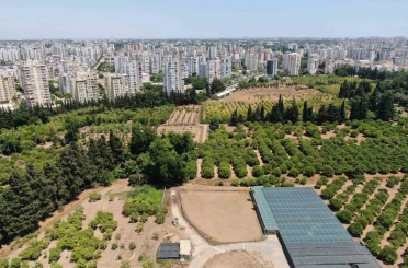 Türkiye son 20 yılda, Antalya’dan büyük tarım alanını kaybetti 