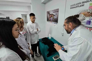 Türkiye’de bir ilk: Meslek yüksekokulunda veteriner sağlık eğitimi simülatörlerle veriliyor 