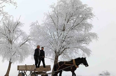 Türkiye’de en düşük sıcaklık eksi 20 dereceyle Bayburt’ta ölçüldü 