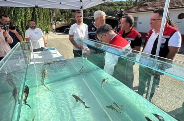 Türkiye’den dünya sofralarına siyah havyar: "Gramı 1 eurodan satılıyor" 