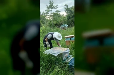 Türkiye’nin ilk Arıcılık Okulu’nda bir dönem sona erdi 