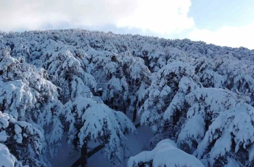 Türkiye’nin ilk Milli Parkı Çamlık’ta kar manzarası havadan görüntülendi 