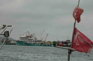 Türkiye’yi terk eden hamsinin yolu gözleniyor 