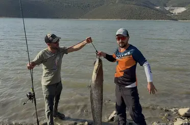Turna avına çıkan balıkçıların oltasına 127 santimlik dev yayın takıldı
