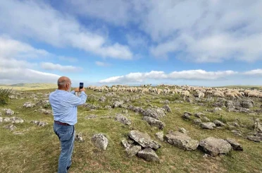 Tuz taşı olarak keçilere yalatılan kayaların, Türk beyliklerinin savaş alanındaki mezar taşları olduğu anlaşıldı 