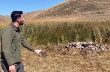 Tuzluca’da bulunan kerkenez doğaya bırakıldı