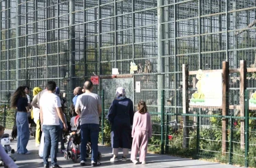 Ücretsiz olan hayvanat bahçesine ziyaretçi akını 