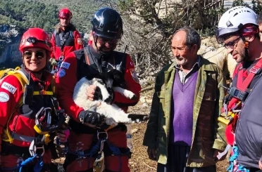 Uçurumdan düşen kuzuyu ekipler kurtardı 