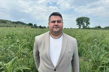 Uluabat Gölü havzasında "Hasanağa Enginarı Hasat Programı" 