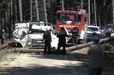 Uludağ’da inanılmaz olay...Kesilen ağaç seyir halindeki kamyonetin üzerine devrildi: 1 ölü 