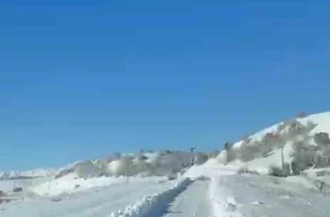 UMKE ekiplerinin hasta yolculuğuna kurt eşlik etti 