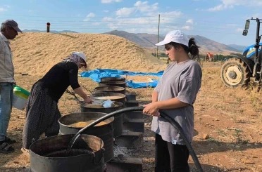 Üniversite öğrencileri yaz tatilinde tarlada ailelerine destek oluyor 