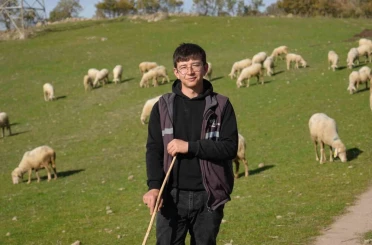 Üniversiteyi okudu, baba ocağına dönüp sürü sahibi oldu 