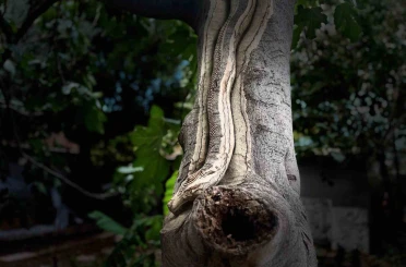 Unutulan sanatı emekliler hayata döndürüyor 