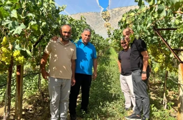 Üreticinin hasat heyecanına ortak oldular 